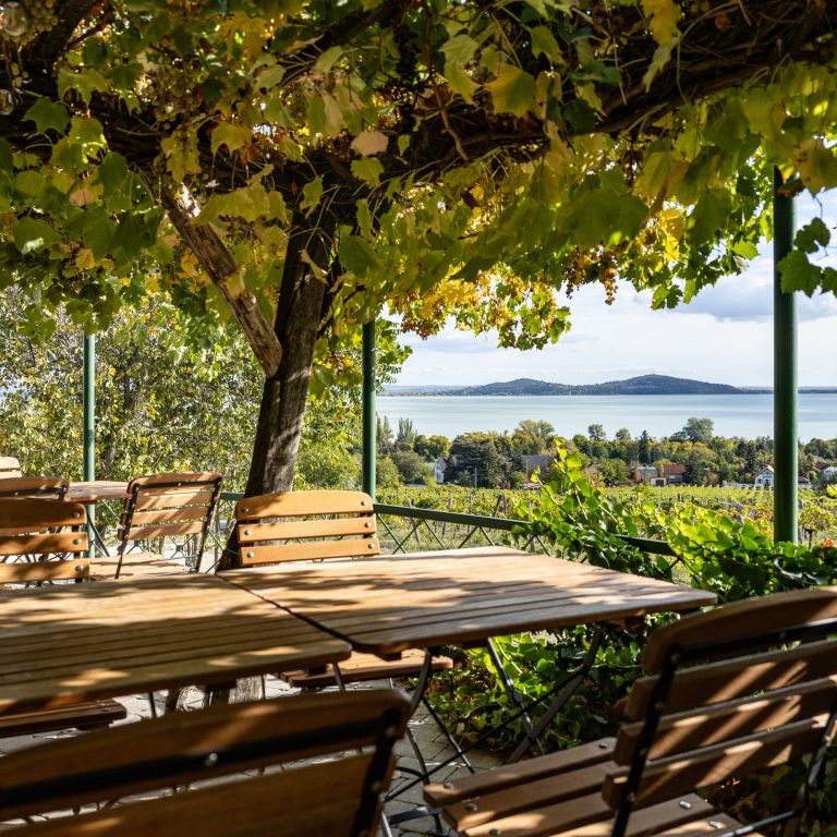 Taste_Balaton-3178